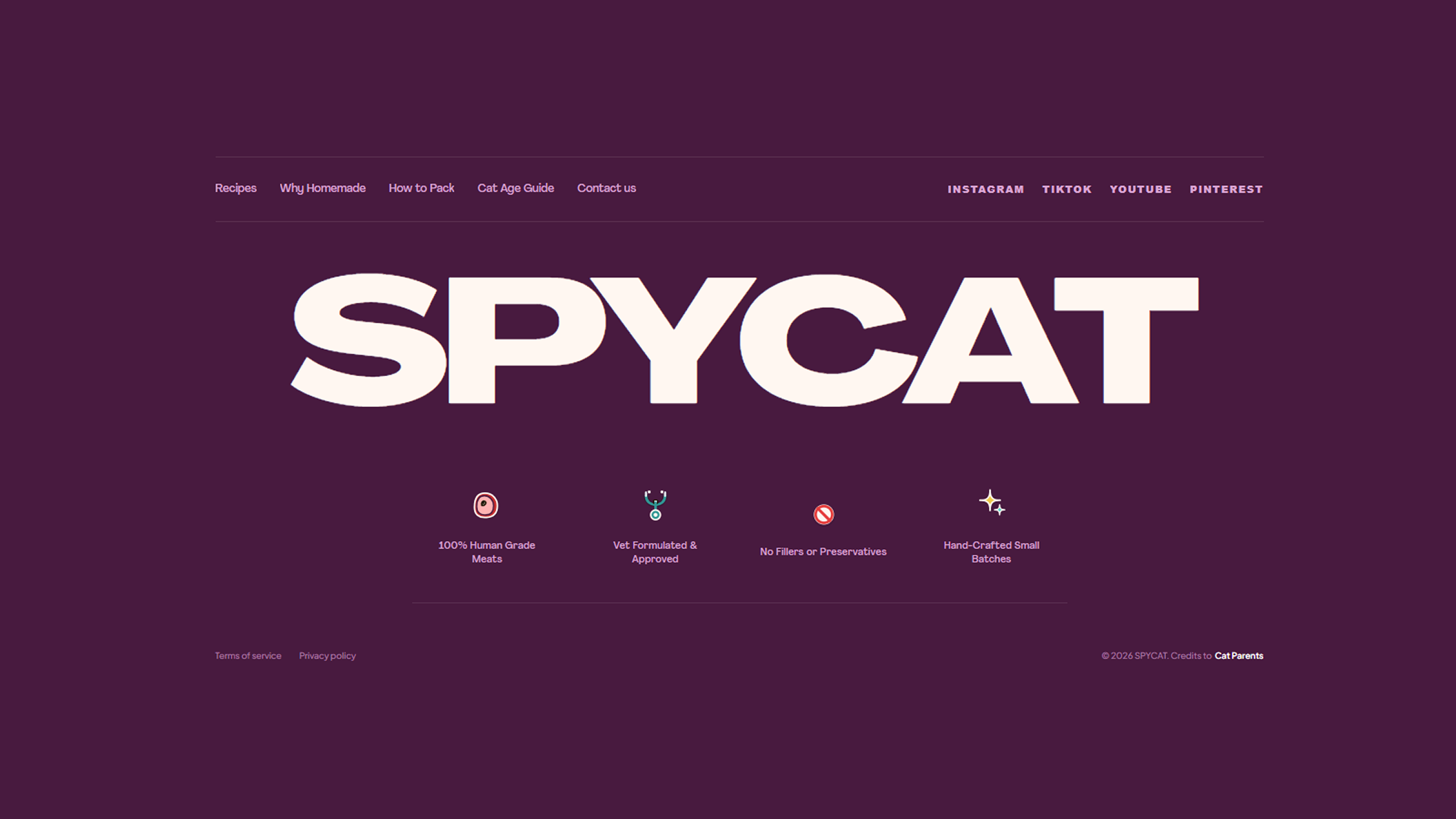 Footer - Spycat