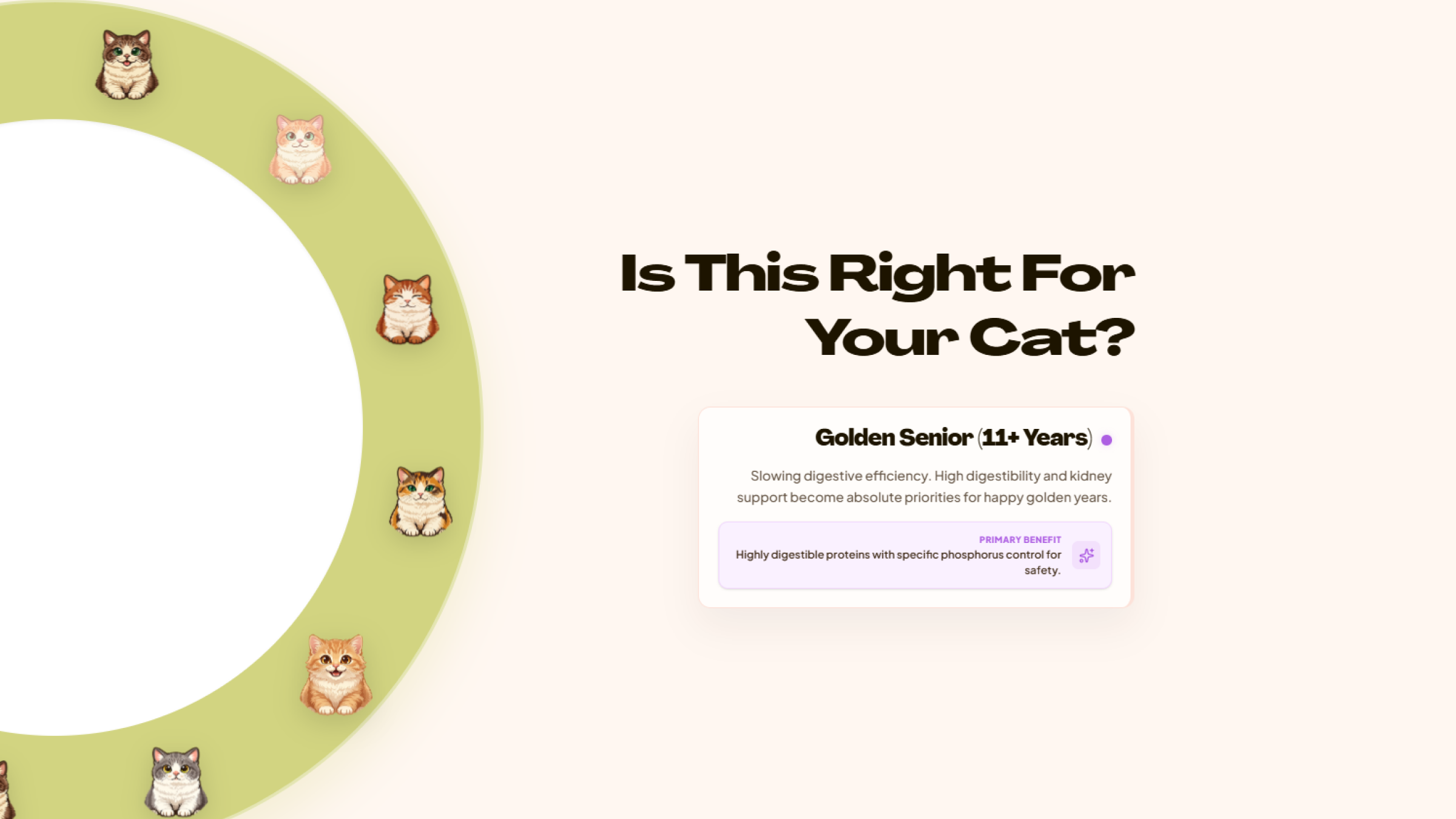 Features 01 Spycat