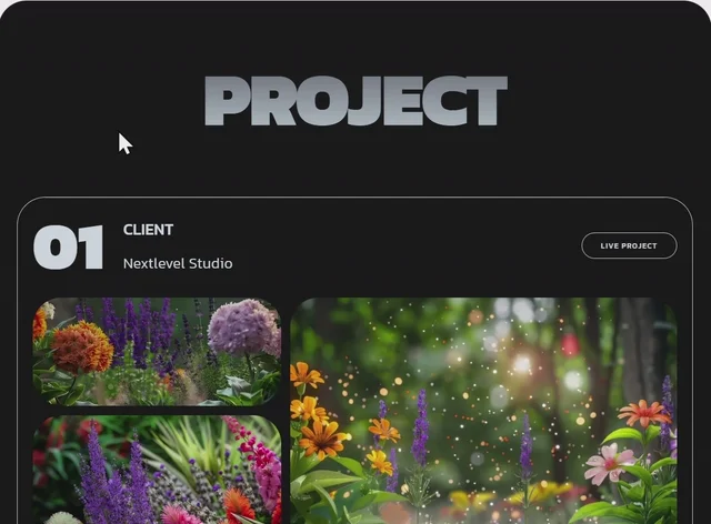 Projects Catalog