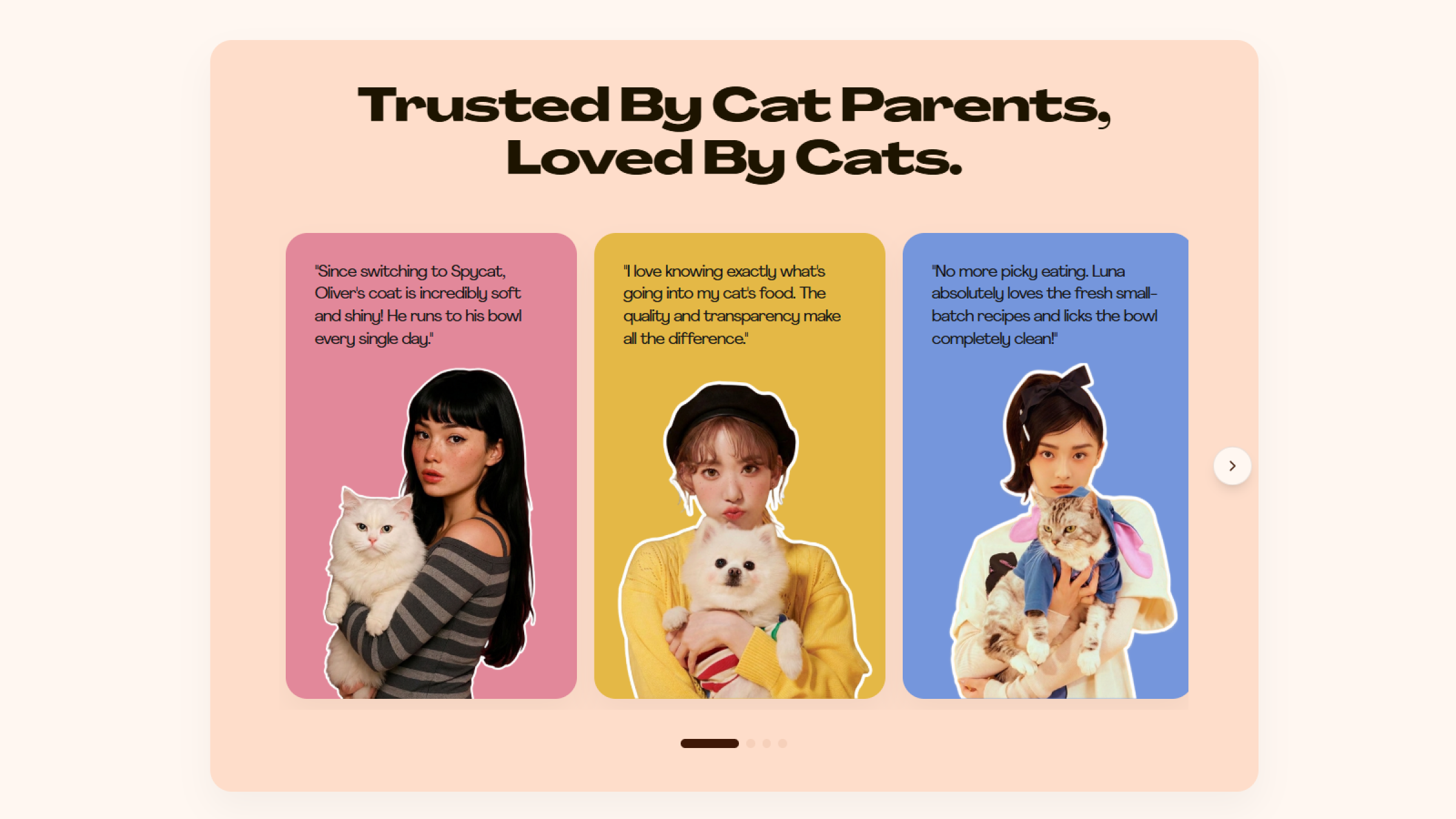 Testimonial - Spycat