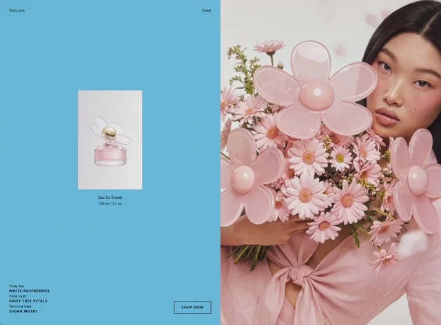 Daisy Sweet