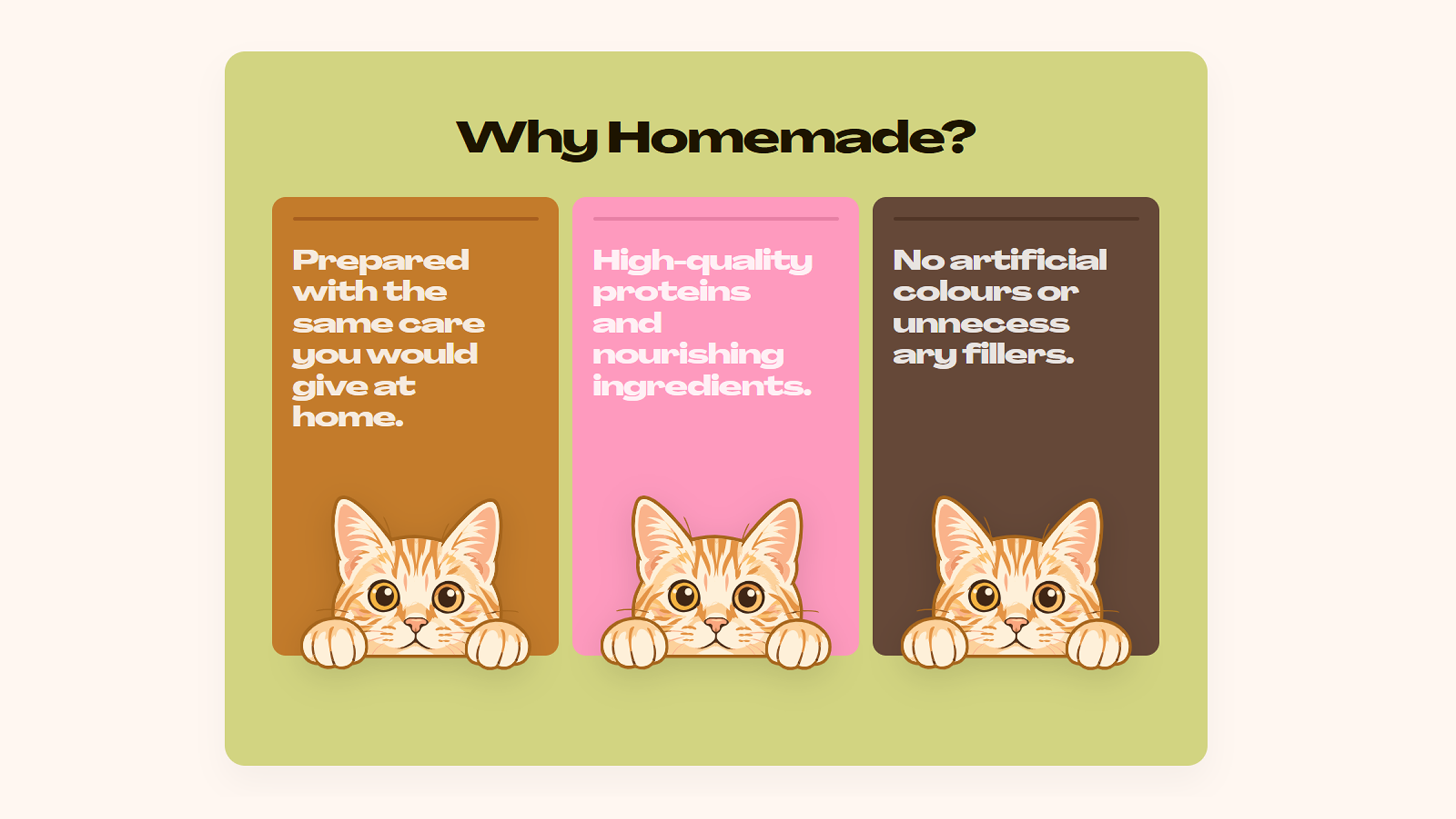 Why Choose Us - Spycat