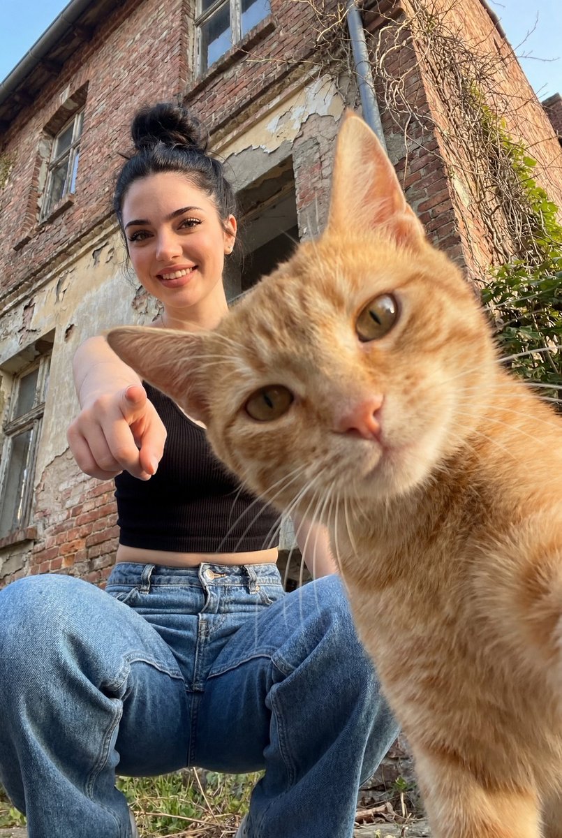 Worm's-Eye Urban Portrait with Cat