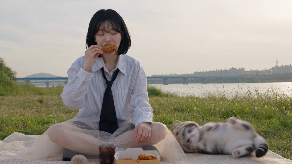 Picnic with Tiger Kitten Companion