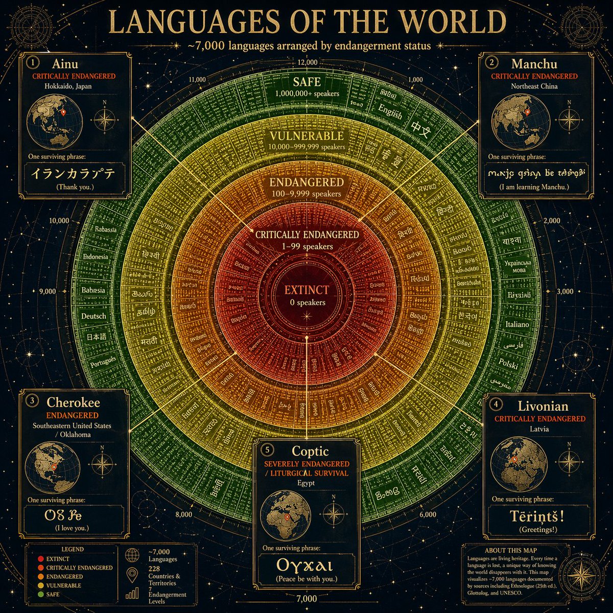 Circular Language Infographic