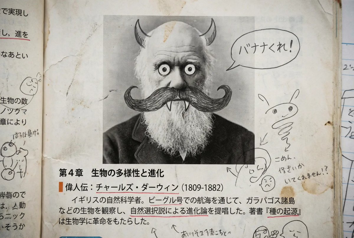 Middle schooler doodles on history textbook pages