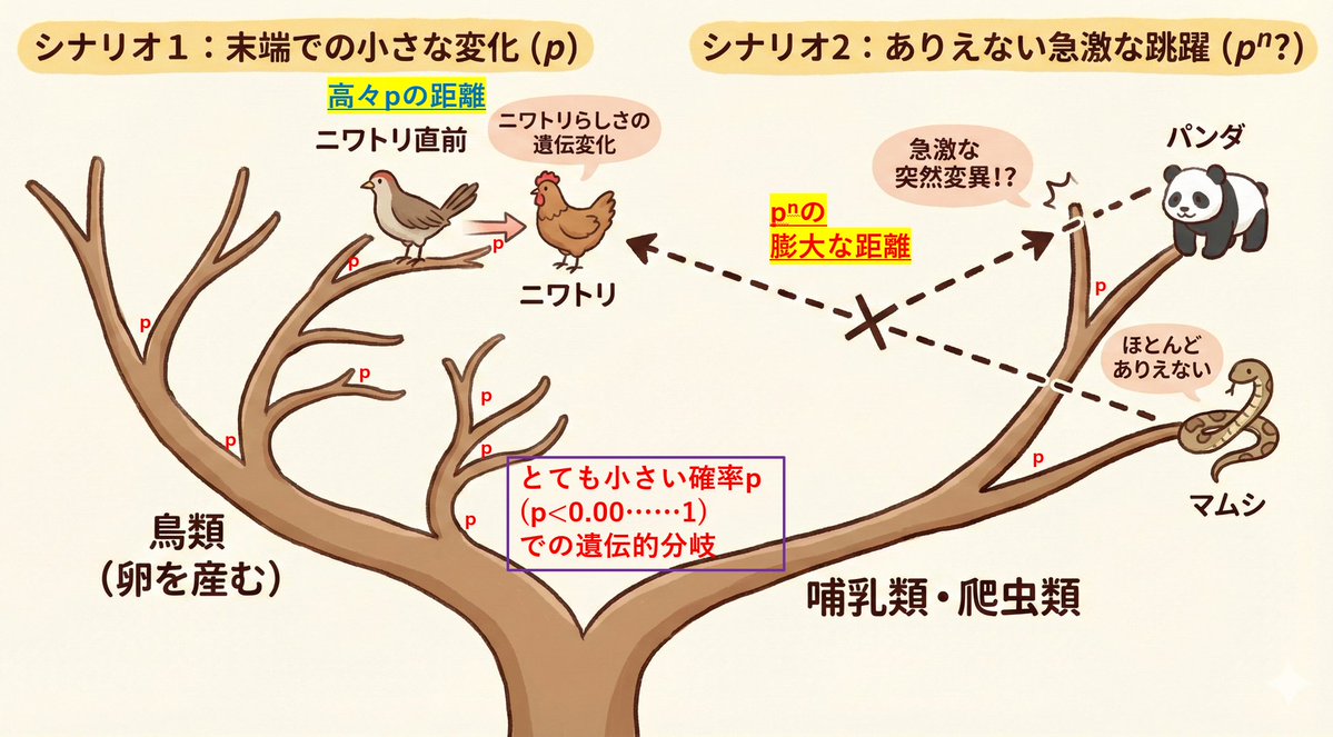 Visualize conceptual difficulty: from chicken to chicken vs. panda to chicken
