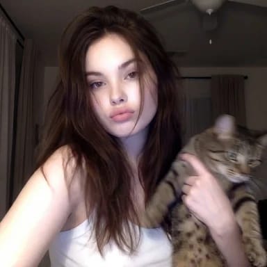 Low-Fi Candid Night Snapshot with Cat