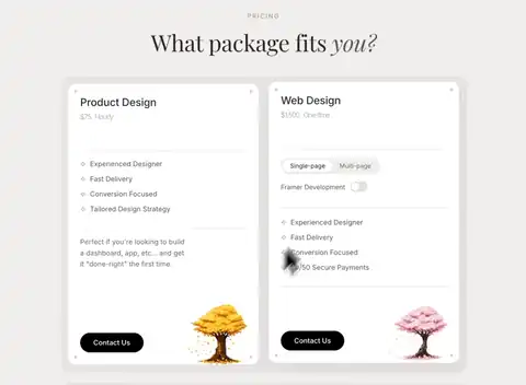 What Package Fits You