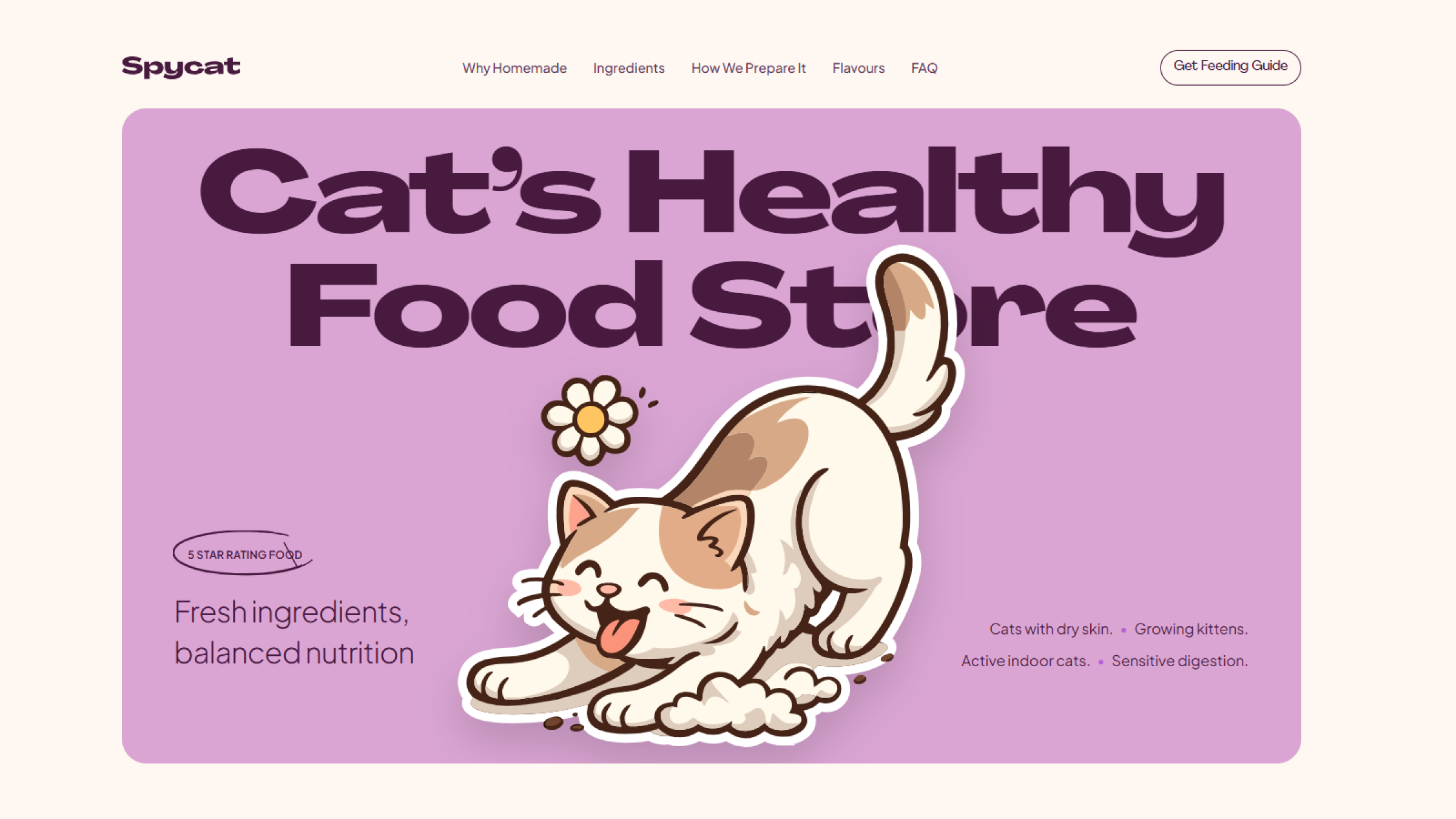 Cat Food Ecommerce Hero - Spycat